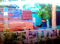 សង្កាត់រដ្ឋបាលព្រៃឈើអន្លង់វែងលួចលក់ឈើប្រណិតឱ្យក្រុមហ៊ុនទ្រីភាពមែនទេ !