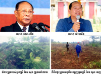 រស់នៅ ១៥ឆ្នាំ ប្តីស្លាប់បានមួយអាទិត្យត្រូវមេភូមិស្ទឹងថ្មីមកឈូសឆាយរំលោភយកដី និងផ្ទះ
