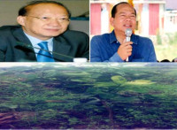 អ្នកស្រី ឆែម សុន ដាក់ពាក្យប្តឹងមេភូមិស្ទឹងថ្មី និងបក្ខពួកពីបទប្រើអំណាចរំលោភយកដីចំការ