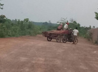 សកម្មភាព គង់ ក្រឹ​ង ជាប់​ក្នុង​បញ្ជី​ខ្មៅ ជា​ឧក្រិដ្ឋជន​បំផ្លាញ​ព្រៃឈើ របស់​លោក​នាយករដ្ឋមន្ត្រី​