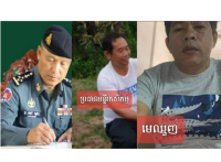 មេឈ្មួញឈើ ឈ្មោះចំរើន កាងឈើចេញ ពីដែនអភិរក្ស ចូលស្រុក ក្រូចឆ្មា នាំចេញបន្ត