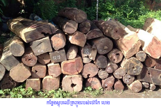 ឈើ​គ្រញូង​ថៅកែហេង​នាំពីស្រុក​សំឡូត ស្តុប​ទុក​នៅ​បាត់ដំបង មន្ត្រី​អាវុធ​​ហត្ថជា​អ្នក​កាង