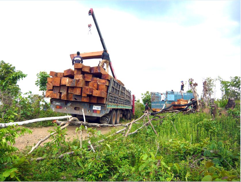 បើ​មេព្រៃ​ខេត្តព្រះវិហារ​ជាអ្នក​កាងបទ​ល្មើស​ព្រៃឈើ  តើ​អាច​​រួម​ចំណែក​​ទប់​ស្កាត់​បាន​​ដោយ​​របៀប​​ណា?