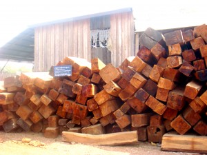 wood (1)