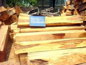 wood (6)