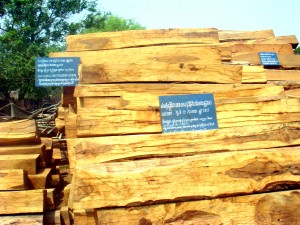 wood (7)