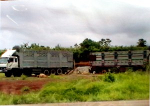 photo2