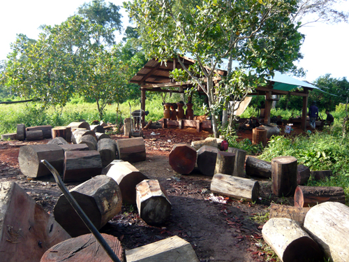 សិប្បកម្ម​កែច្នៃឈើប្រណីត​ខុសច្បាប់នៅ​ស្រុកជ័យ​សែន អាចដំណើរ​ការ​បាន​ដោយ​មាន​ការ​ឃុបឃិត​ពីផ្នែក​រដ្ឋបាល​ព្រៃឈើ​ស្រុក​ឆែប