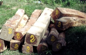 wood_posat1