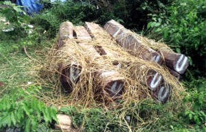wood_posat2