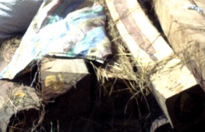 wood_posat3