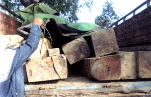 wood_posat4