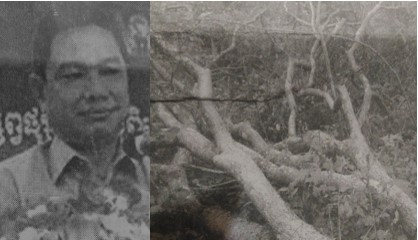 អំណាច ឈ្មួញឈើ នៅស្រុក សំបូរ មានការ គាំទ្រពី សមត្ថកិច្ច